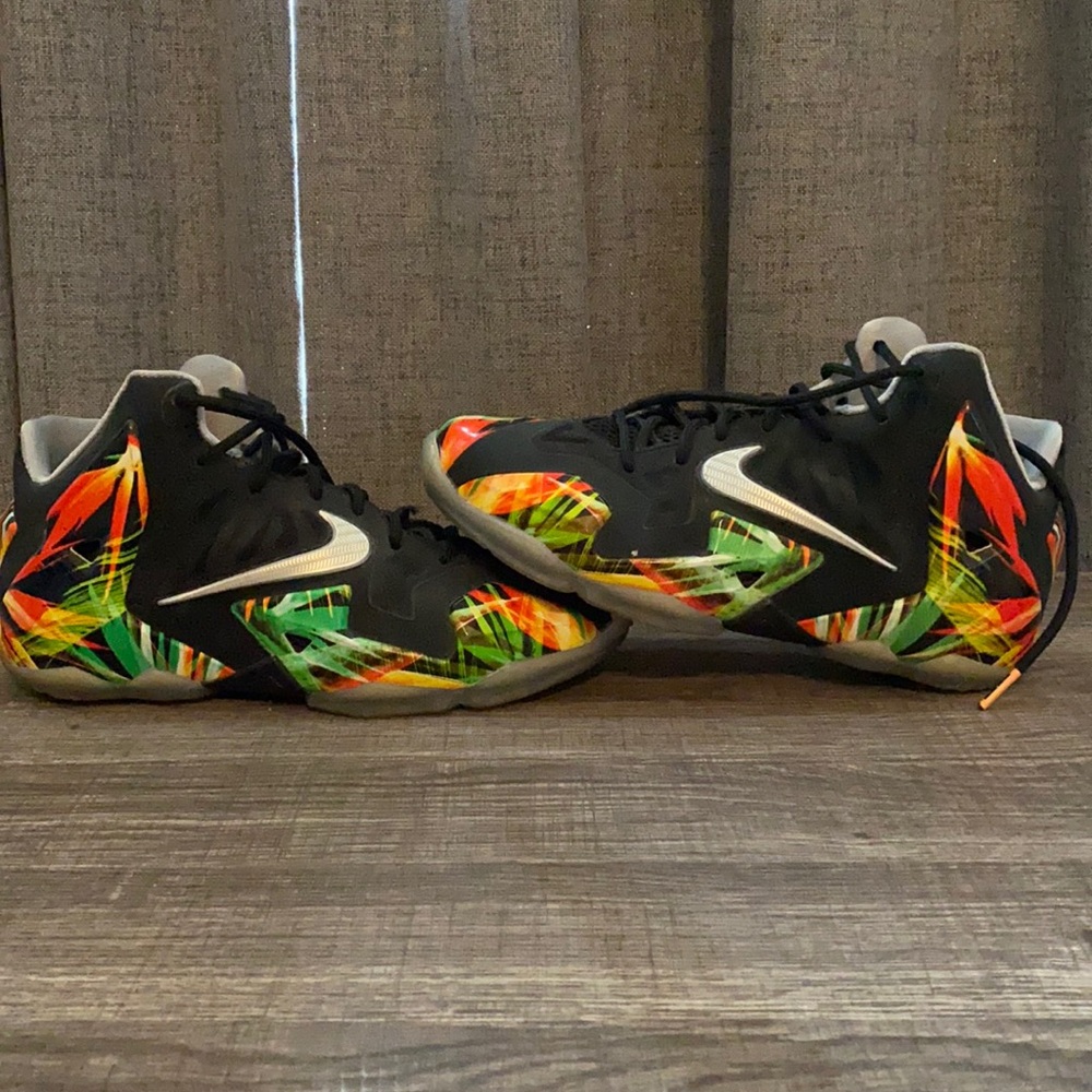 Lebron 11 Everglades!